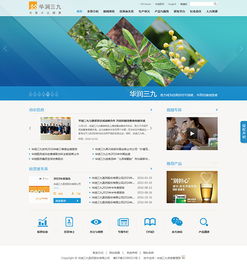 醫(yī)藥企業(yè)如何通過網(wǎng)站建設(shè)，鑄就卓越品牌形象